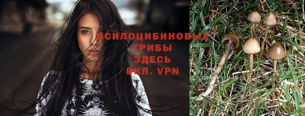 метадон Армянск